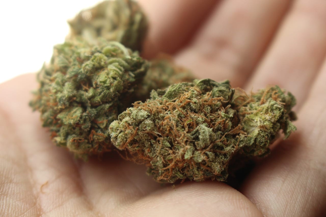 New Jersey Marijuana Legalization: What Employers + Employees Need to Know